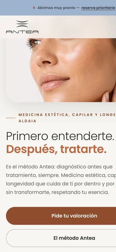 La misma web en móvil