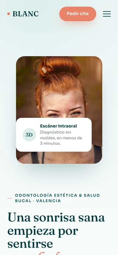 La misma web en móvil