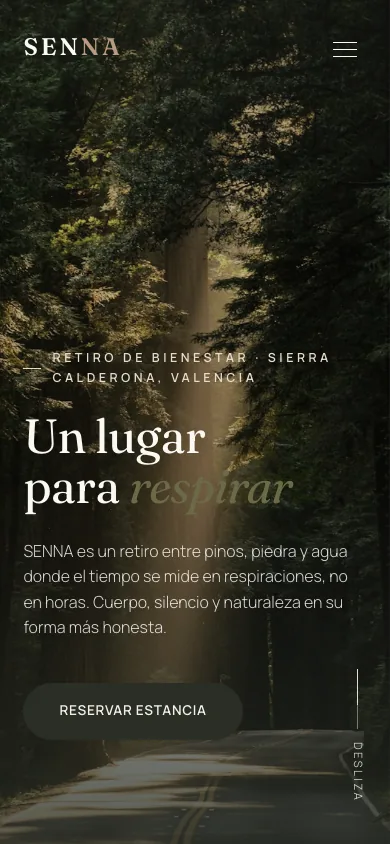 La misma web en móvil